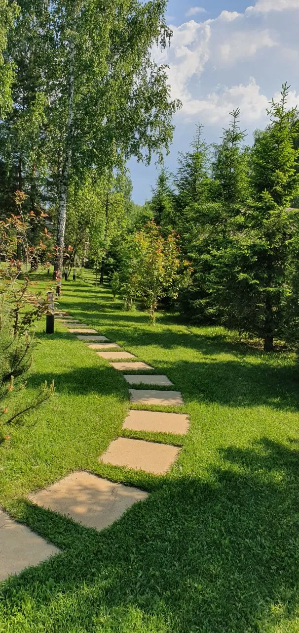 Сады
